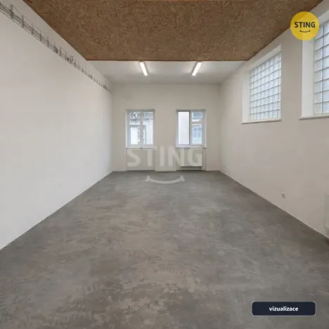 Pronájem skladu, Prostějov, Havlíčkova, 298 m2