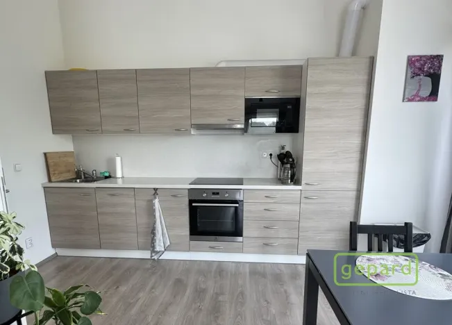 Pronájem bytu 2+kk, Slaný - Kvíček, U Benaru, 55 m2