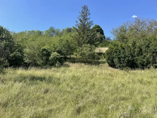 Prodej zahrady, Nová Ves, 2559 m2