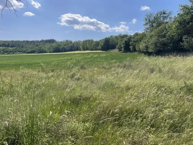 Prodej zahrady, Nová Ves, 2559 m2