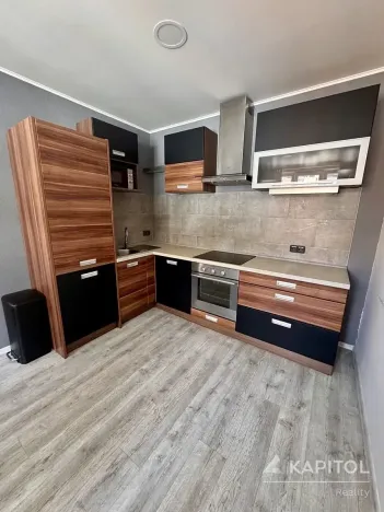 Prodej bytu 1+1, Teplice, Fügnerova, 48 m2