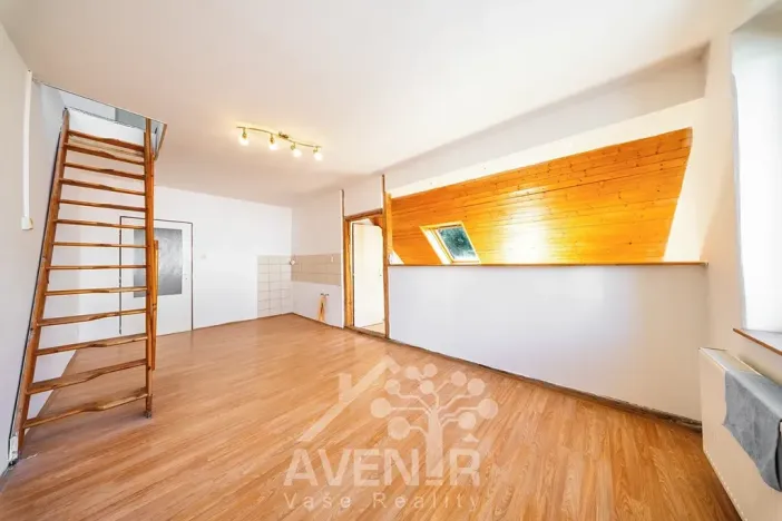 Prodej vícegeneračního domu, Liberec, Hradební, 145 m2