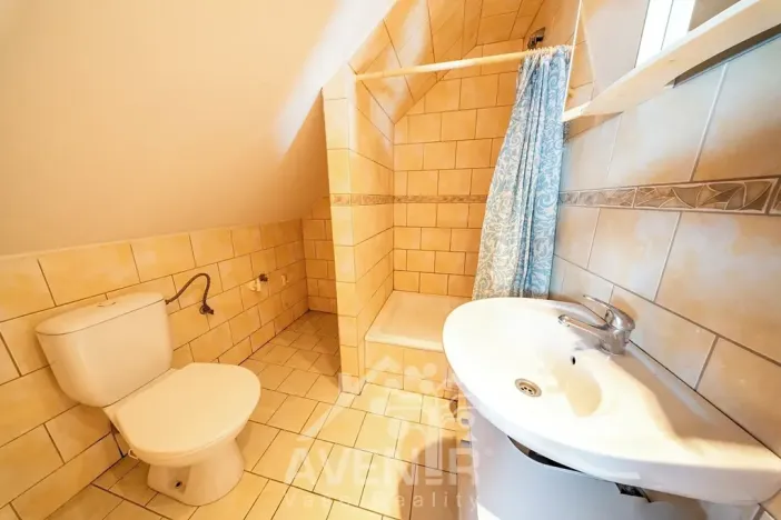 Prodej vícegeneračního domu, Liberec, Hradební, 145 m2