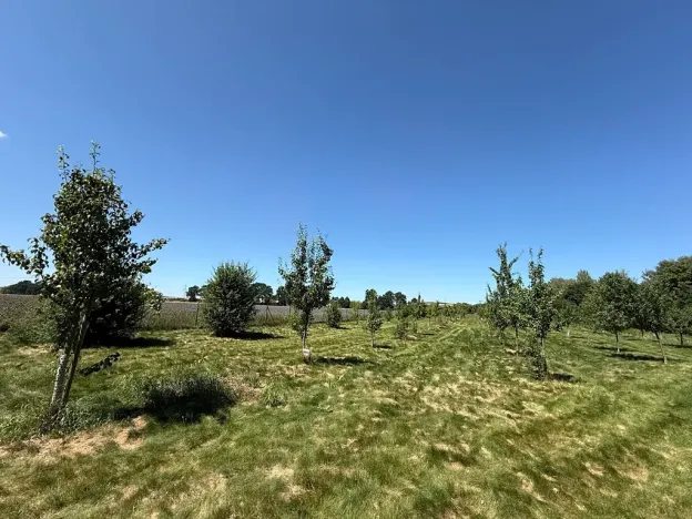 Prodej rodinného domu, Lety, 550 m2