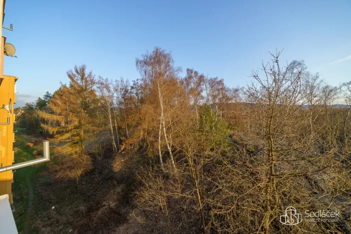 Pronájem bytu 1+1, Sokolov, Jelínkova, 38 m2