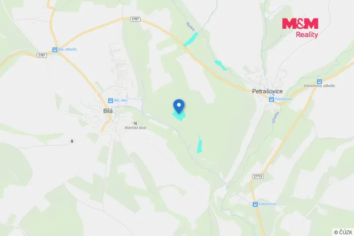 Prodej lesa, Bílá, 57919 m2