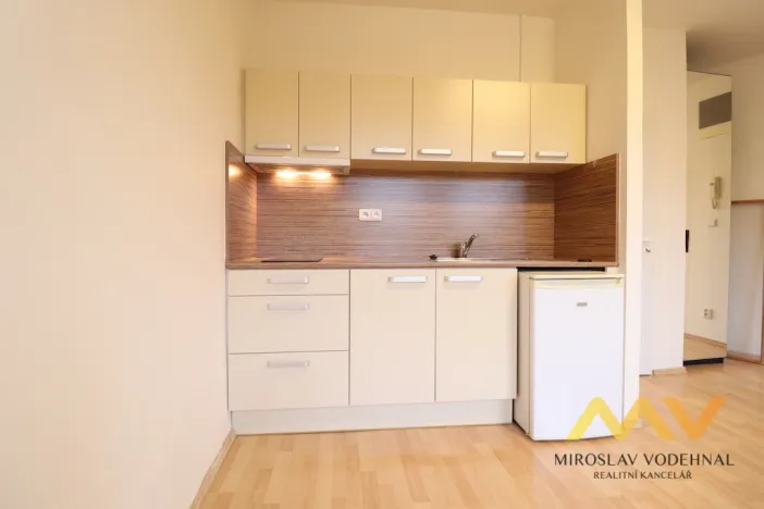 Pronájem bytu 1+kk, Hradec Králové, Dlouhá, 28 m2