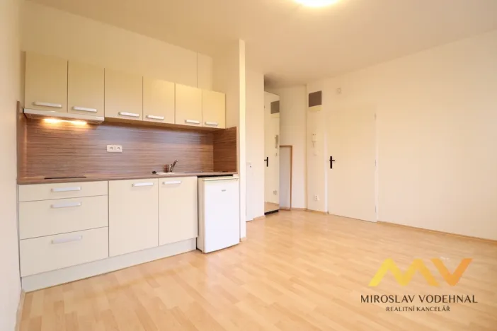 Pronájem bytu 1+kk, Hradec Králové, Dlouhá, 28 m2