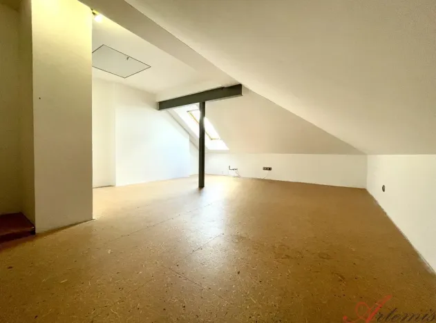 Prodej rodinného domu, Klášterec nad Ohří, Nerudova, 380 m2