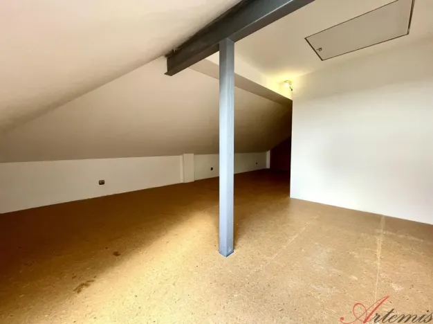 Prodej rodinného domu, Klášterec nad Ohří, Nerudova, 380 m2