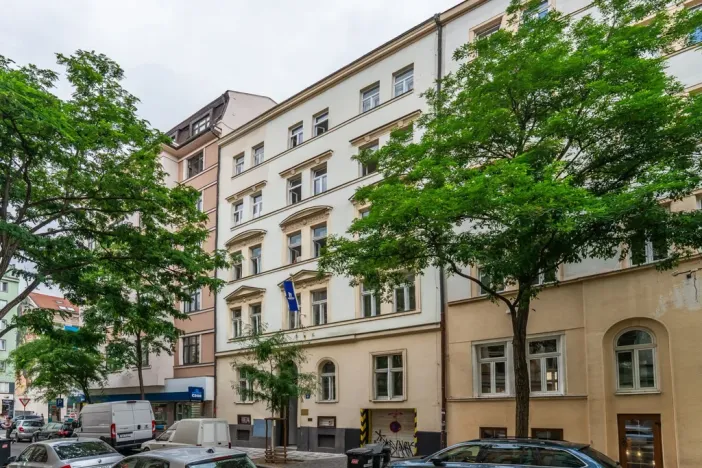 Prodej bytu 2+kk, Praha - Vinohrady, Perunova, 40 m2
