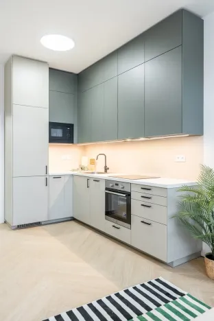 Prodej bytu 2+kk, Praha - Vinohrady, Perunova, 40 m2