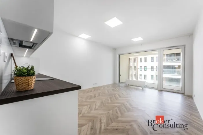Pronájem bytu 1+kk, Brno - Zábrdovice, Cejl, 48 m2