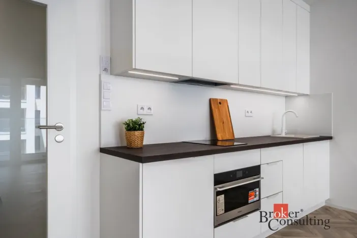 Pronájem bytu 1+kk, Brno - Zábrdovice, Cejl, 48 m2
