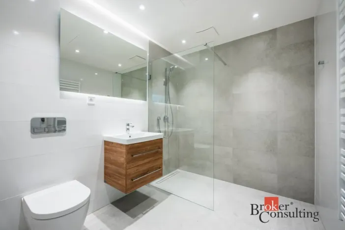 Pronájem bytu 1+kk, Brno - Zábrdovice, Cejl, 48 m2