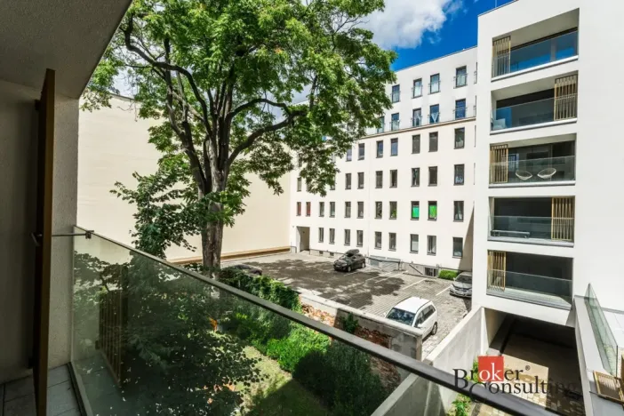 Pronájem bytu 1+kk, Brno - Zábrdovice, Cejl, 48 m2
