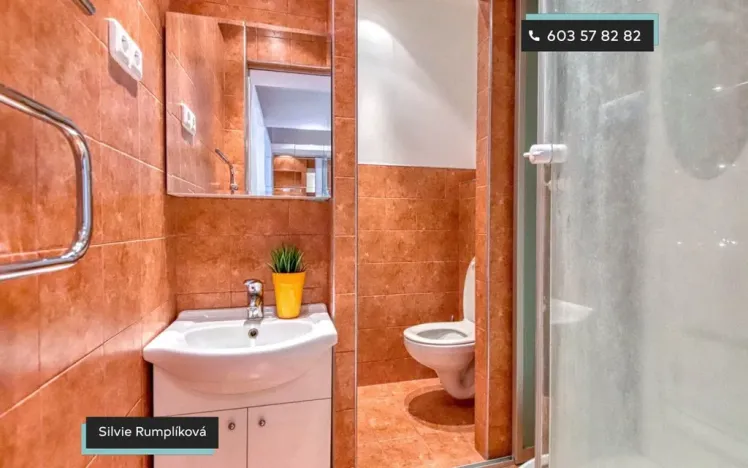 Pronájem bytu 1+kk, Rožnov pod Radhoštěm, Meziříčská, 27 m2