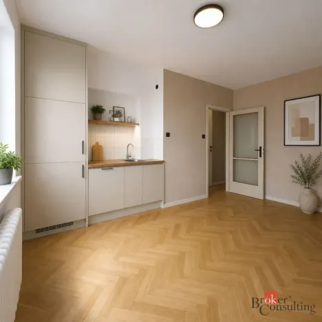 Prodej bytu 1+kk, Havířov - Podlesí, Kosmonautů, 23 m2