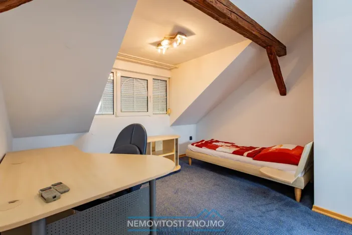 Prodej atypického bytu, Znojmo, Alšova, 310 m2