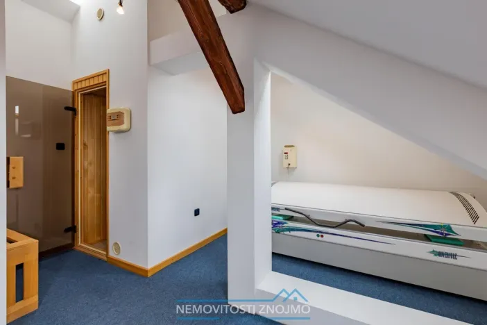 Prodej atypického bytu, Znojmo, Alšova, 310 m2