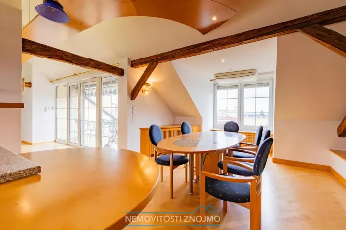 Prodej atypického bytu, Znojmo, Alšova, 310 m2