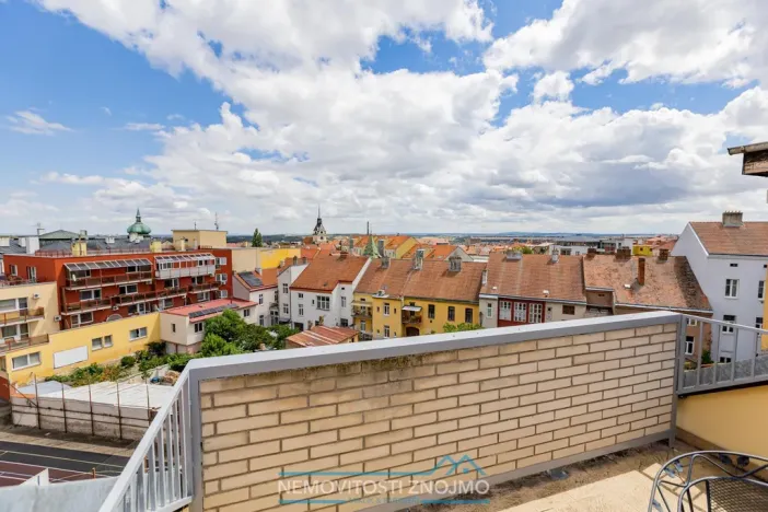 Prodej atypického bytu, Znojmo, Alšova, 310 m2