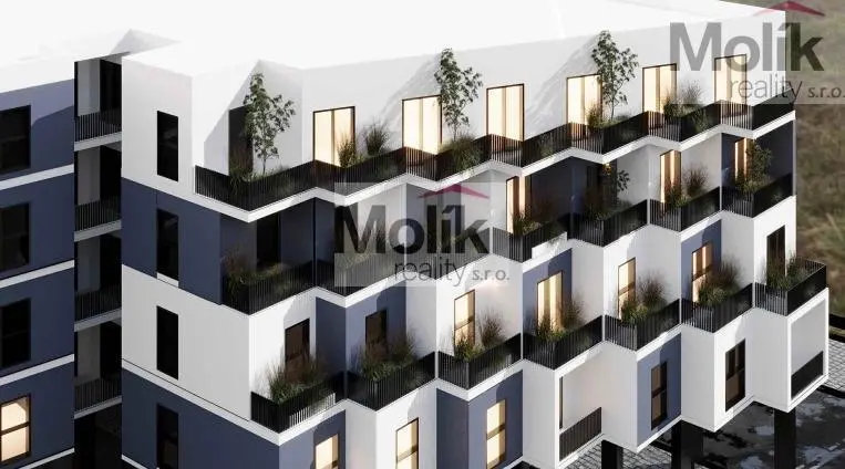 Prodej bytu 3+kk, Golem, 80 m2