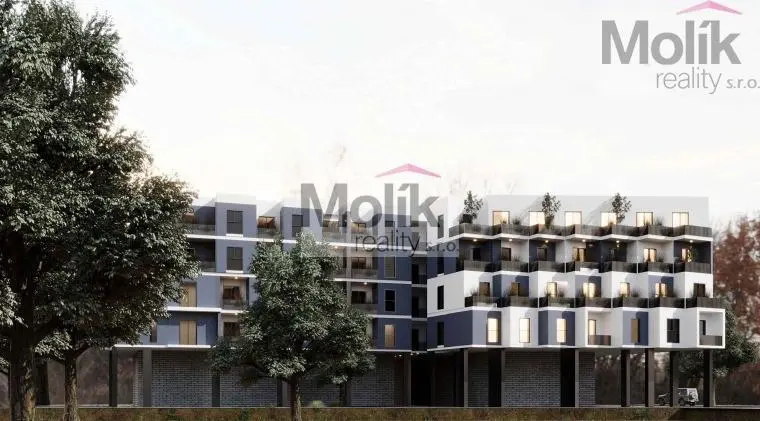 Prodej bytu 3+kk, Golem, 80 m2