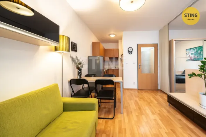 Prodej bytu 1+kk, Brno, Francouzská, 30 m2