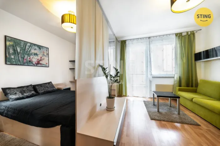 Prodej bytu 1+kk, Brno, Francouzská, 30 m2