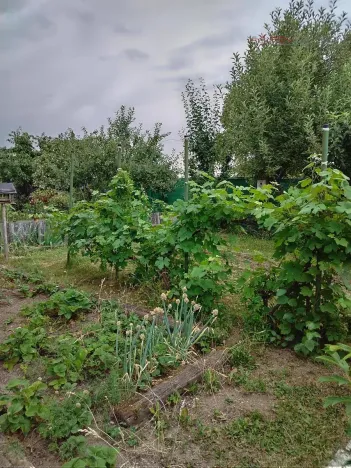 Prodej zahrady, Kladno, U Trati, 180 m2