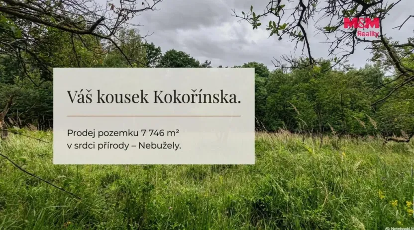 Prodej pole, Nebužely, 7746 m2