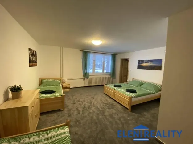 Prodej ubytování, Lipová-lázně - Horní Lipová, 320 m2