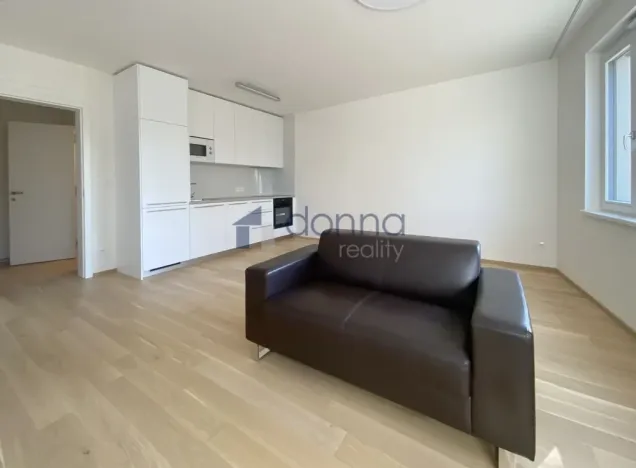 Pronájem bytu 1+kk, Praha, Na Viktorce, 39 m2
