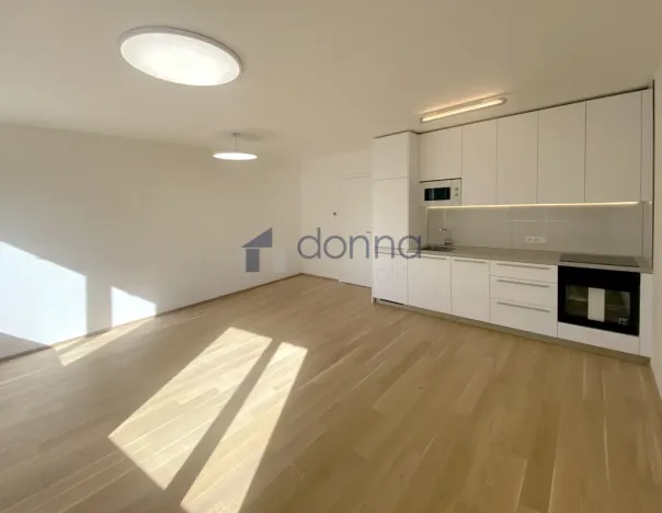 Pronájem bytu 1+kk, Praha, Na Viktorce, 39 m2