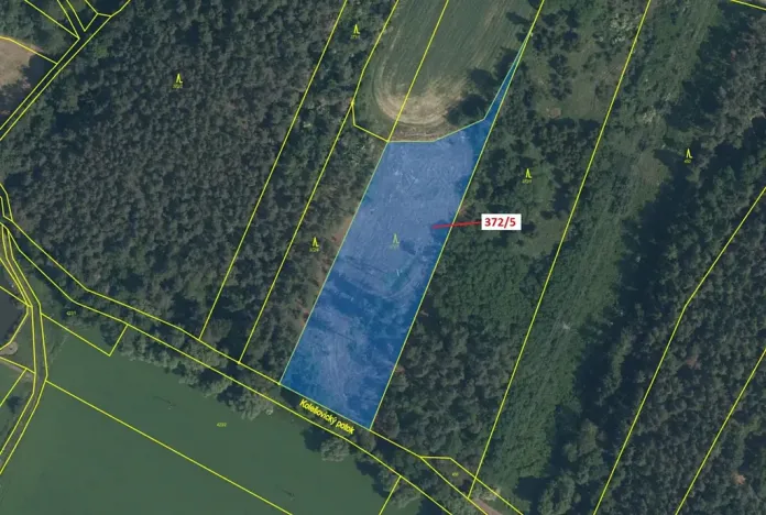 Dražba lesa, Přílepy, 7060 m2