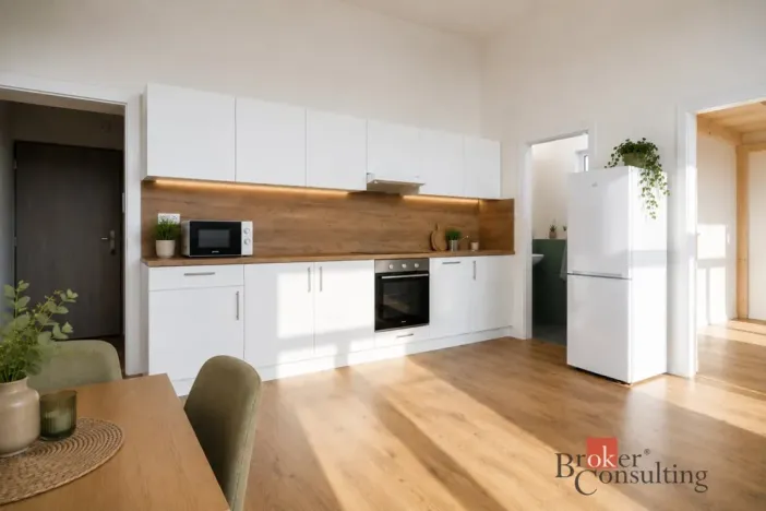 Prodej bytu 2+kk, Ostrava - Přívoz, Palackého, 51 m2
