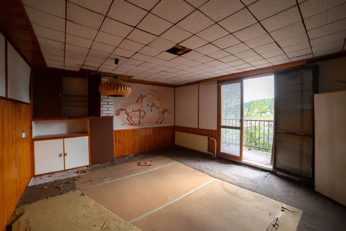 Prodej pozemku pro bydlení, Sentice, 9810 m2