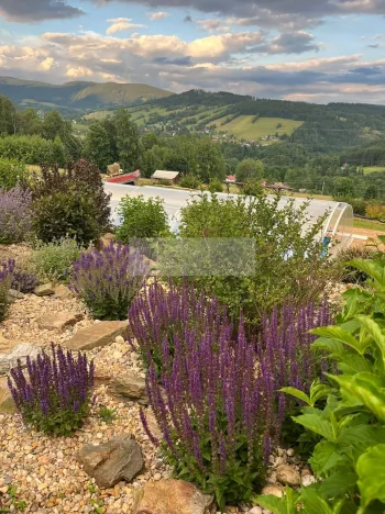 Prodej rodinného domu, Paseky nad Jizerou, 345 m2