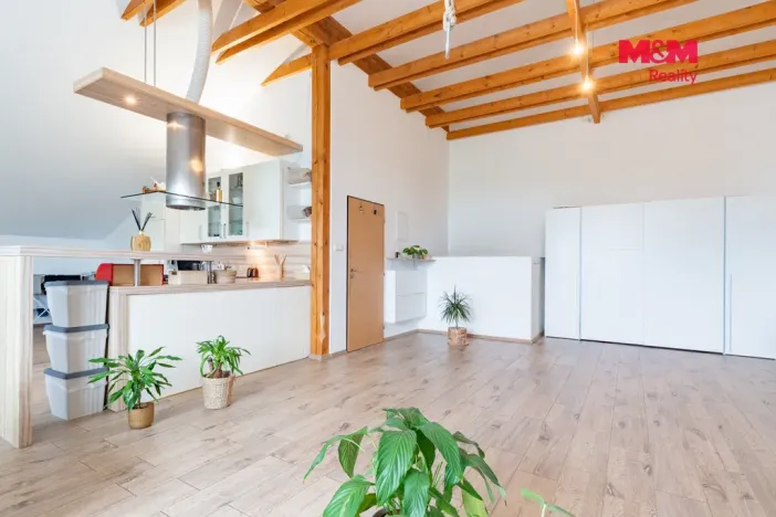Pronájem bytu 3+kk, Františkovy Lázně - Dlouhé Mosty, 125 m2
