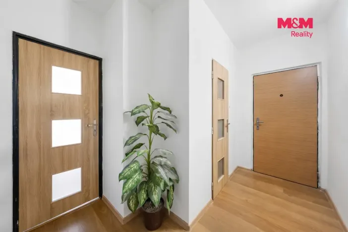 Prodej bytu 2+1, Ústí nad Labem - Severní Terasa, Jizerská, 62 m2