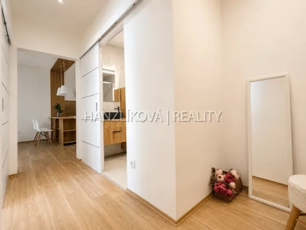Prodej bytu 2+kk, České Budějovice - České Budějovice 2, Dlouhá, 45 m2