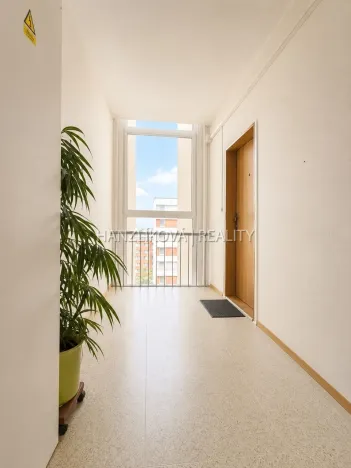 Prodej bytu 2+kk, České Budějovice - České Budějovice 2, Dlouhá, 45 m2