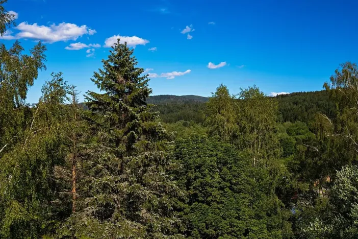 Prodej bytu 2+kk, Bayerisch Eisenstein, Německo, Brennesstraße, 51 m2