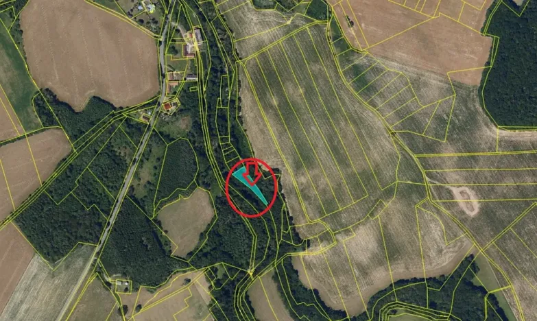 Prodej lesa, Běstvina, 1370 m2
