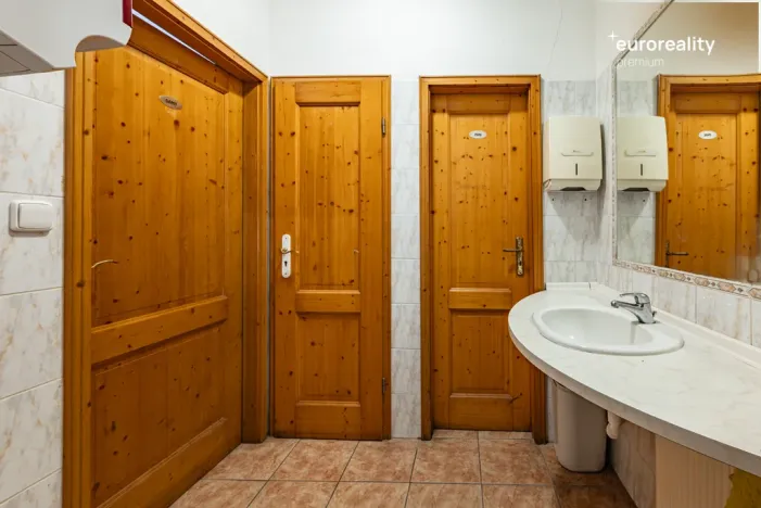 Prodej rodinného domu, Velká Hleďsebe, Havlíčkova, 229 m2