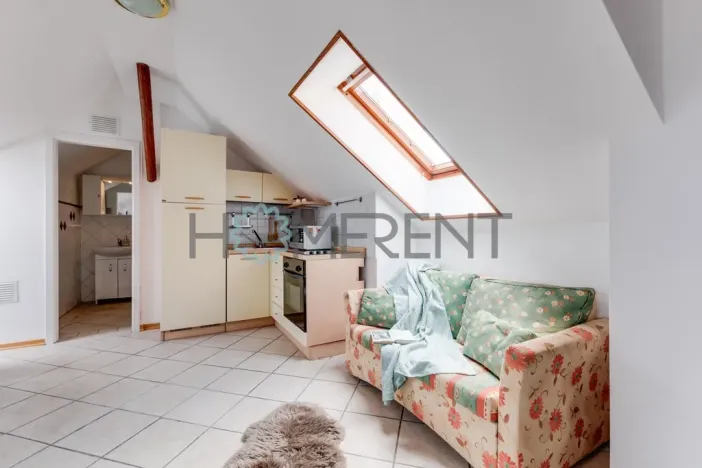 Pronájem bytu 1+kk, Praha - Bubeneč, U akademie, 39 m2