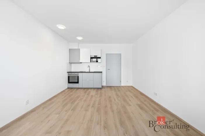 Pronájem bytu 1+kk, Plzeň - Jižní Předměstí, Železná, 33 m2