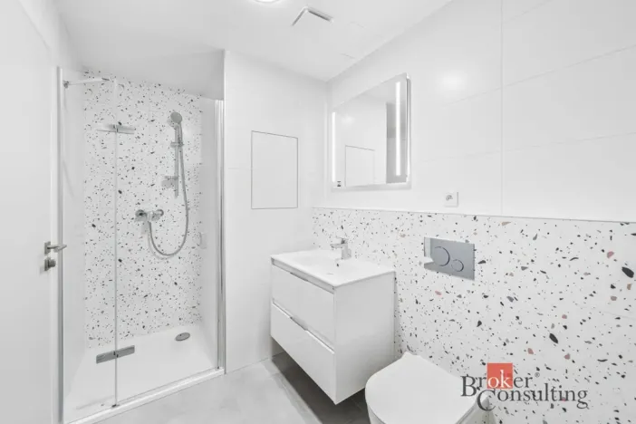 Pronájem bytu 1+kk, Plzeň - Jižní Předměstí, Železná, 33 m2