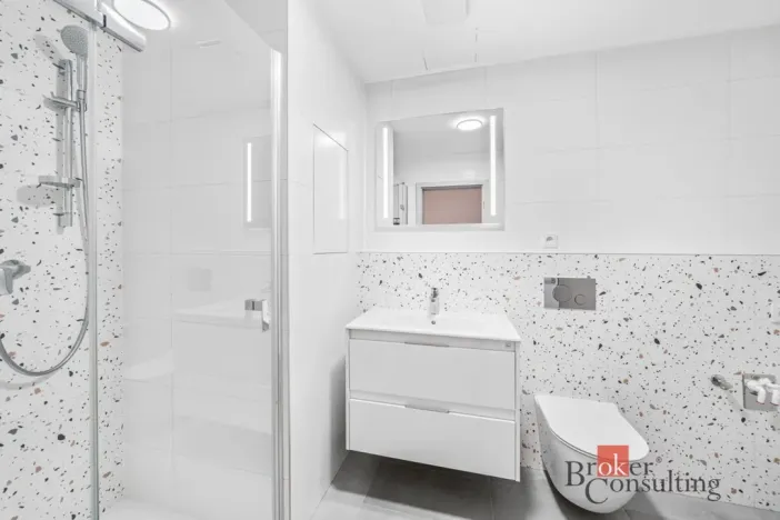 Pronájem bytu 1+kk, Plzeň - Jižní Předměstí, Železná, 33 m2
